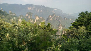 山峦间葱郁树林美景