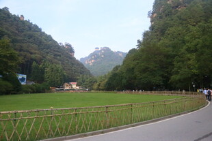 山间公路旁的绿野风光