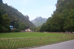 山间绿野公路美景