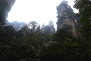 张家界奇峰林立美景