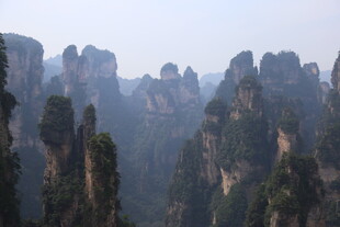 张家界奇峰林立美景