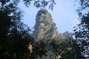 奇峰耸立于林间景观