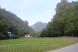 山间公路旁的绿野风光