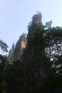 奇峰耸立于葱郁林木间