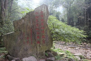 山林中的刻字石碑