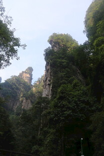 奇峰峻岭间的绿意山林