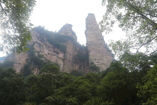 张家界奇峰屹立于山林间