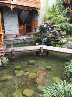 中式庭院中的锦鲤池塘