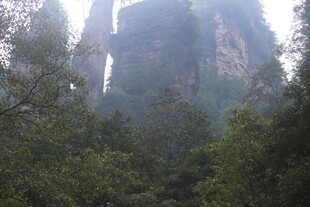 张家界奇峰林立美景