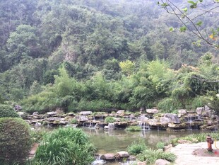 山间溪流畔的绿意景致