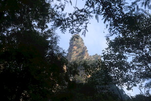 林间隐现的奇特山峰