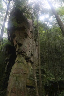 山林中奇特的岩石景观