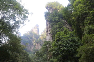 山林间的奇峰异景