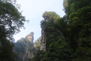 山林奇峰景观