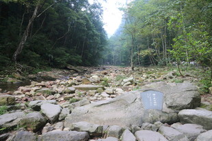 山间乱石遍布的溪流小道