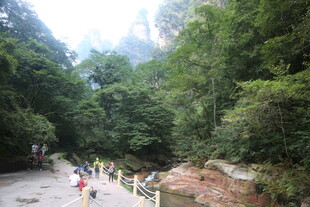 山间小径游人漫步赏景