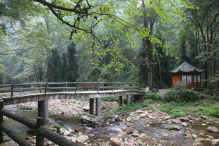 山林间的静谧木桥小屋