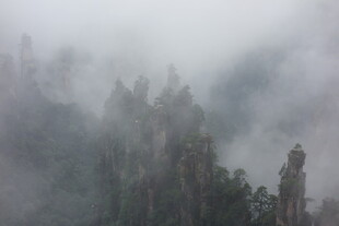 云雾缭绕的壮美山林景观