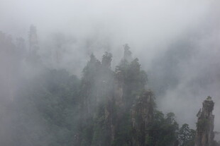 云雾缭绕的壮美山林景观