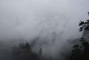 云雾缭绕的山林美景