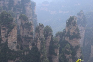 张家界奇峰林立美景
