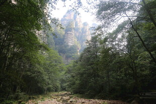 山林间的自然景致