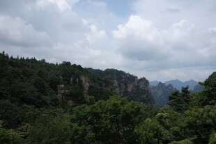 山峦叠翠间的绿意景致