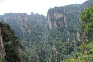 壮丽奇峰张家界景观