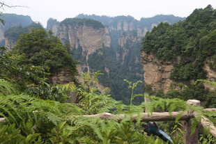 张家界奇峰美景