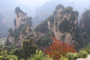 张家界奇峰与艳丽红叶