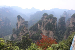 张家界奇峰美景