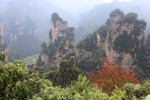 张家界奇峰与艳红植被