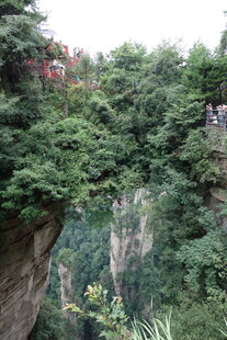 山间峡谷绿意盎然景致