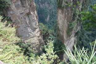 险峻峡谷间的翠绿景致