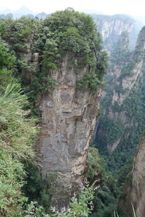 张家界奇峰 绿意盎然景观