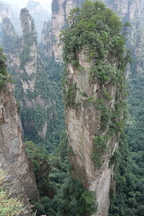 张家界奇峰 绿意盎然