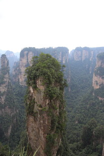 张家界奇峰 绿意盎然
