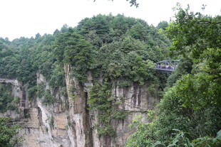 悬崖上的葱郁山林景观