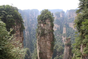 张家界奇峰美景