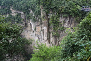 张家界奇峰异林景观