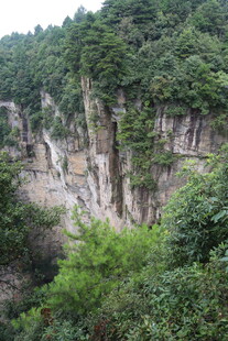 山间峭壁绿植环绕美景
