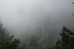 山间雾景 绿意朦胧