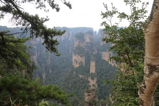 张家界奇峰美景