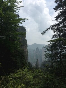 云雾缭绕的山林美景