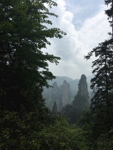 张家界奇峰林立的山林景观