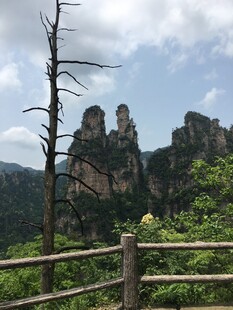 张家界奇峰景观
