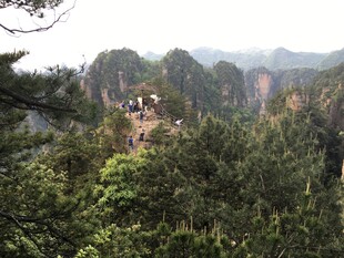 张家界奇峰林立景观