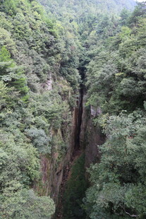 峡谷间的葱郁绿意