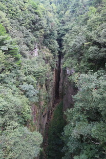 峡谷间的繁茂绿意