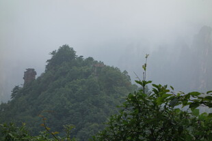 云雾缭绕的翠绿山峦